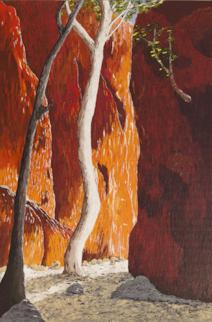 'Outback Wonder' (Standley Chasm) - Acrylic on Board (88 x 62 cm) (framed).